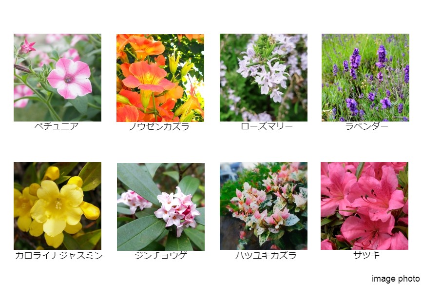 季節の植栽｜アーバンライフ神戸三宮ザ・タワー